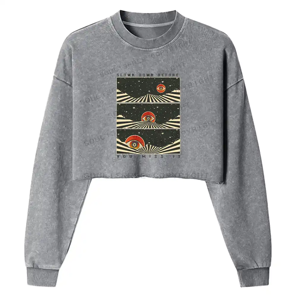 Moments in Stillness Washed Cropped Sweatshirt
