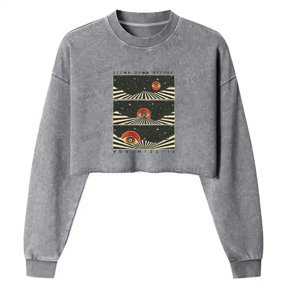 Moments in Stillness Washed Cropped Sweatshirt