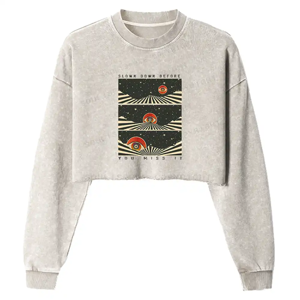 Moments in Stillness Washed Cropped Sweatshirt