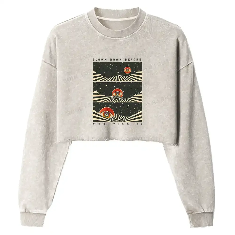 Moments in Stillness Washed Cropped Sweatshirt