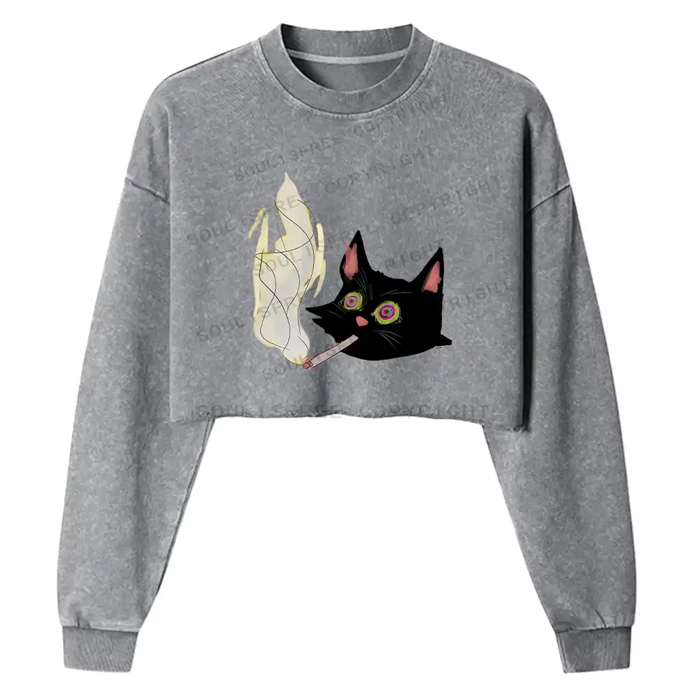 A Smoking Person Washed Cropped Sweatshirt