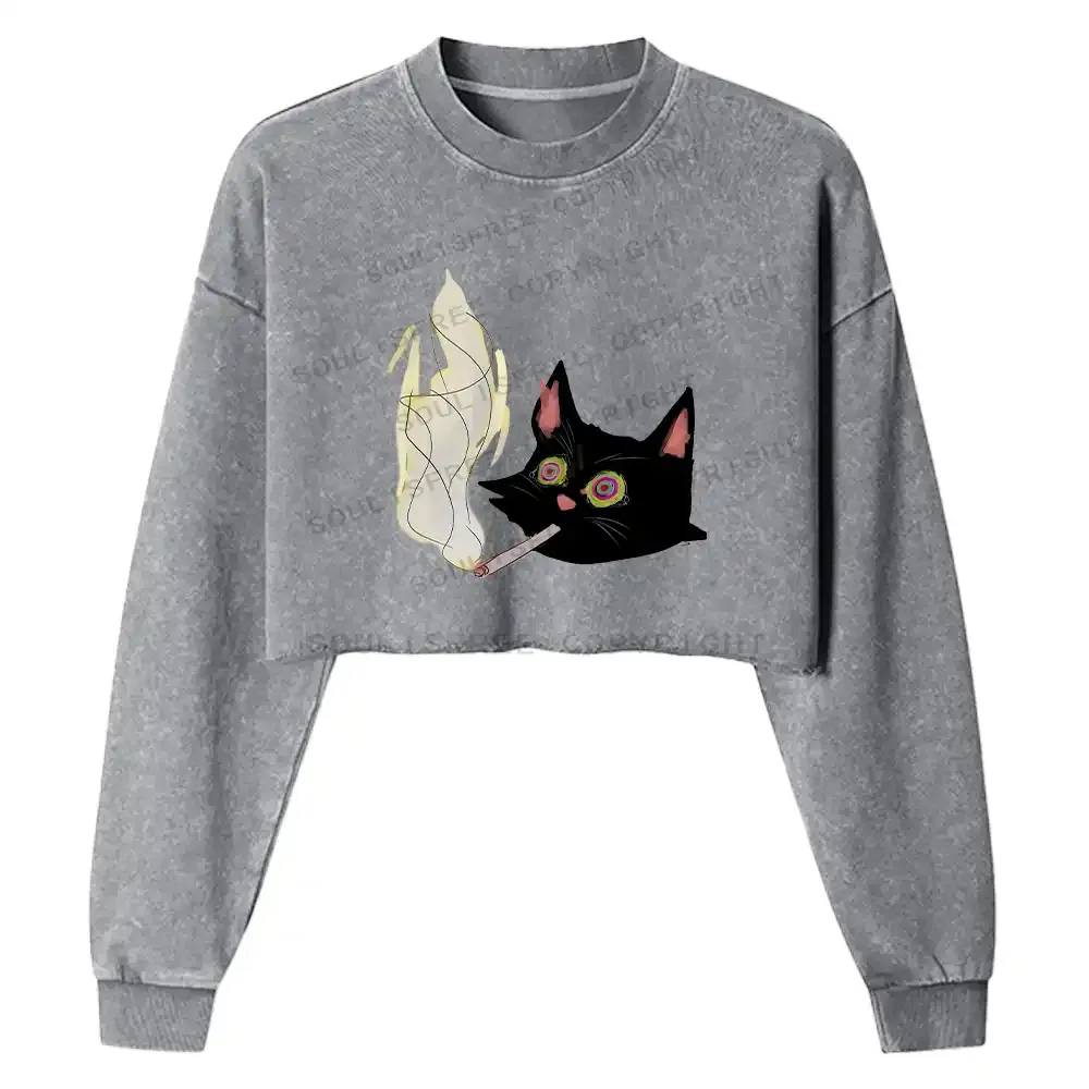 A Smoking Person Washed Cropped Sweatshirt