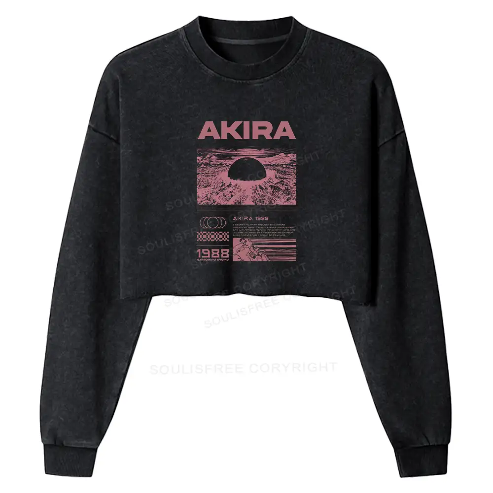 Destruction Washed Cropped Sweatshirt
