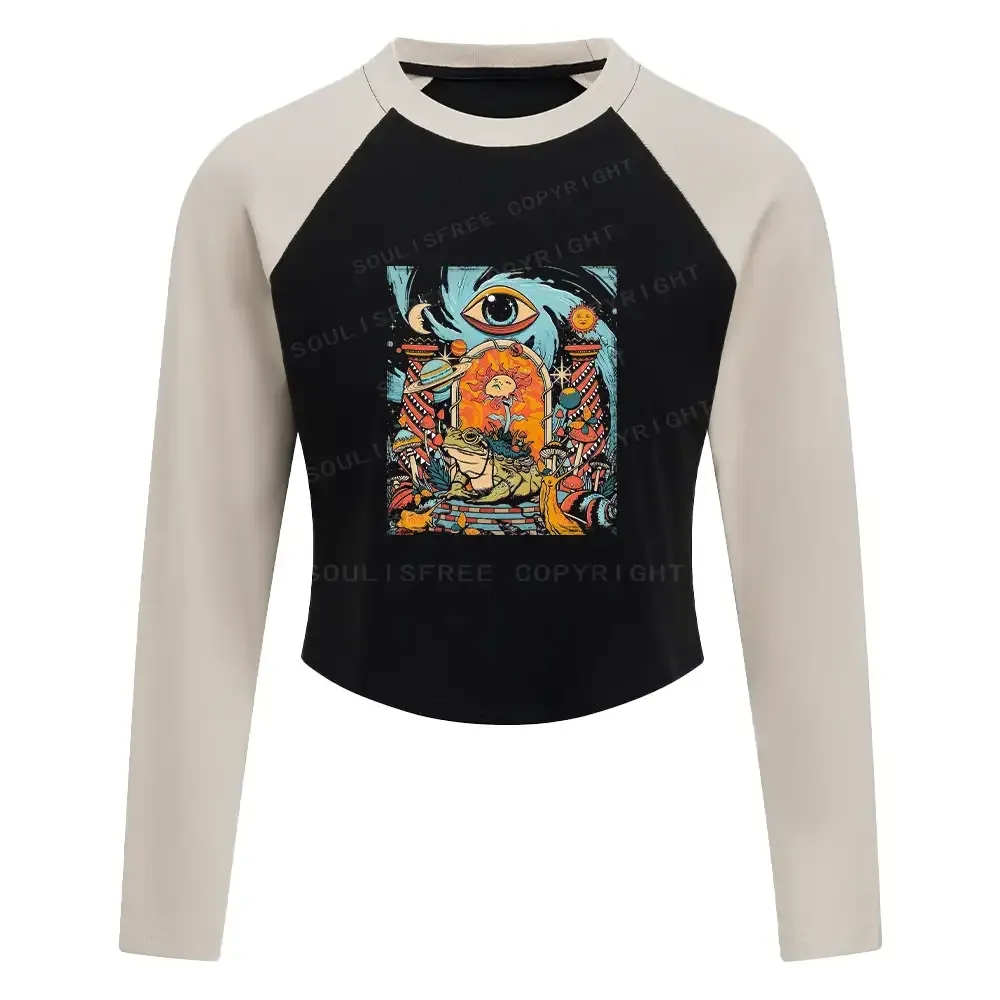 Designed Equilibrium Block Raglan Long Sleeve Crop Top