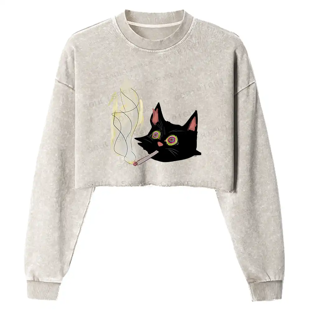 A Smoking Person Washed Cropped Sweatshirt