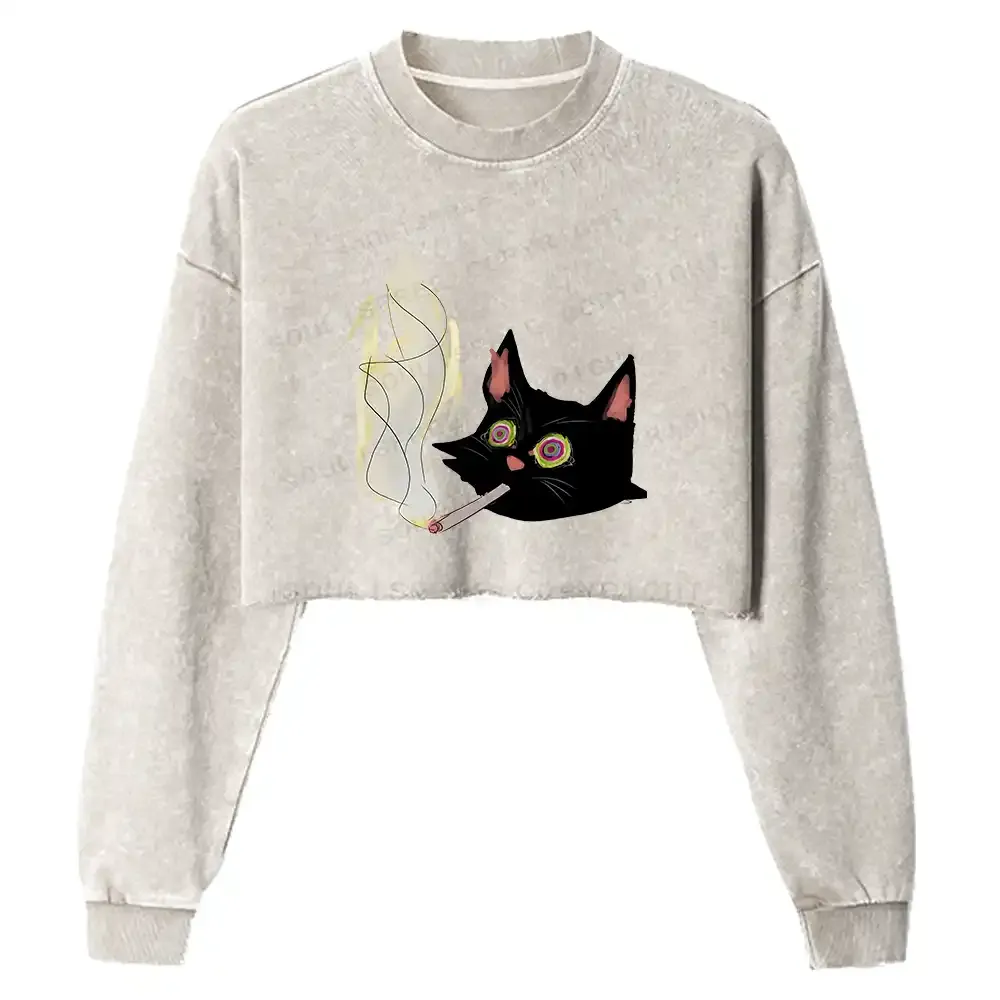 A Smoking Person Washed Cropped Sweatshirt