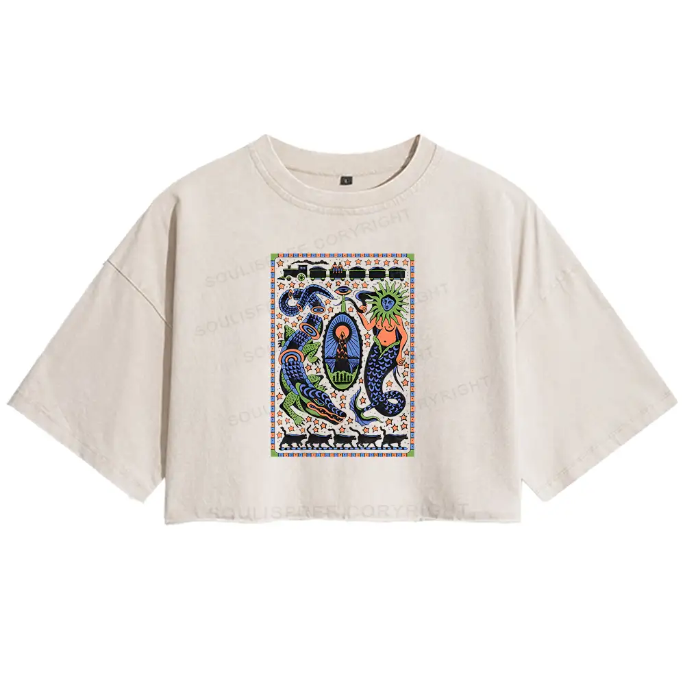 Mysterious Place Washed Crop T-shirt