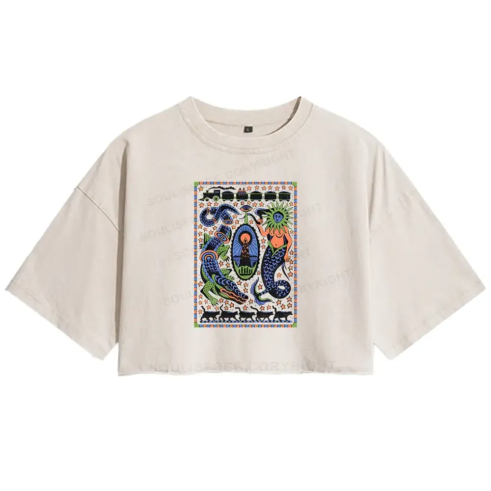 Mysterious Place Washed Crop T-shirt
