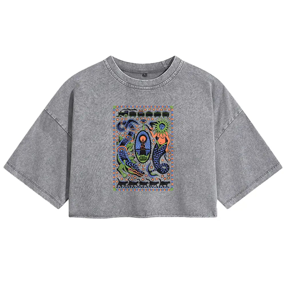 Mysterious Place Washed Crop T-shirt