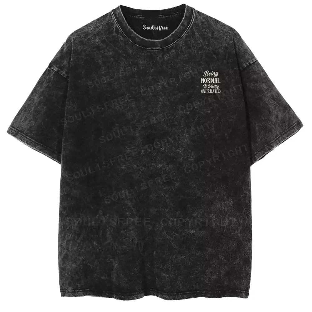 BEING NORMAL IS VASTLY OVERRATED Washed T-shirt