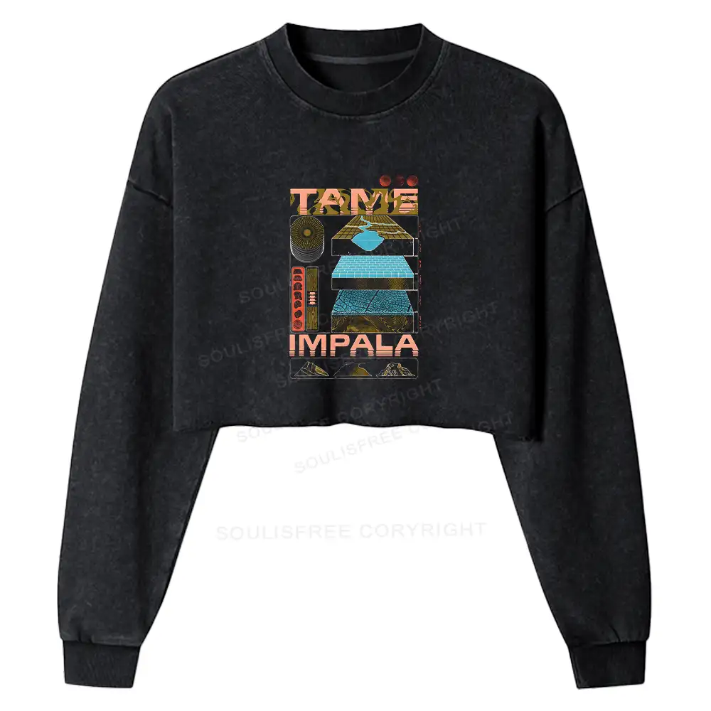 Thought Advancement Washed Cropped Sweatshirt