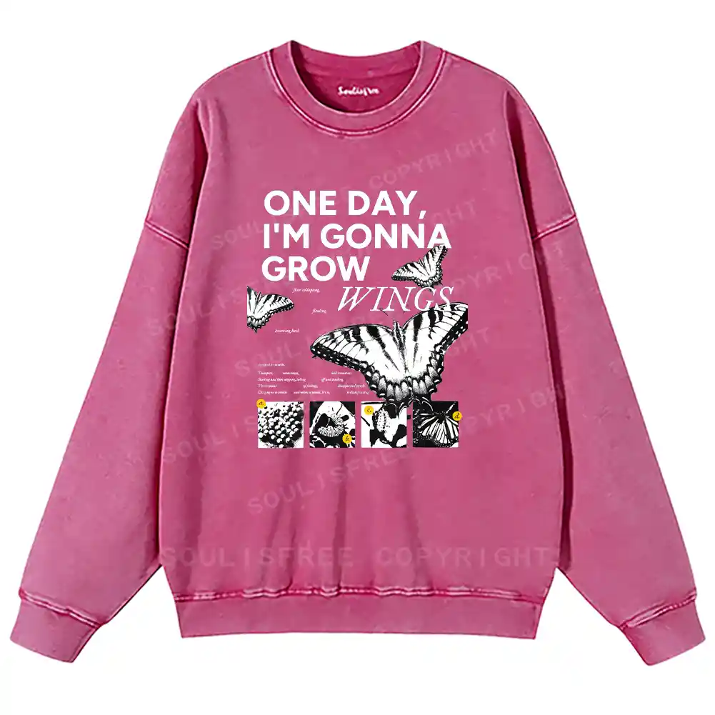The Moment I Fly Washed Sweatshirts
