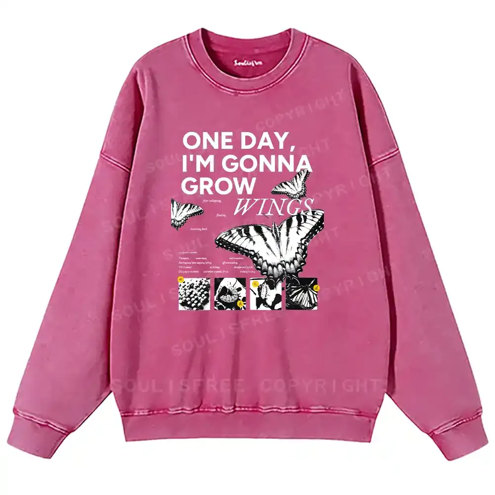 The Moment I Fly Washed Sweatshirts