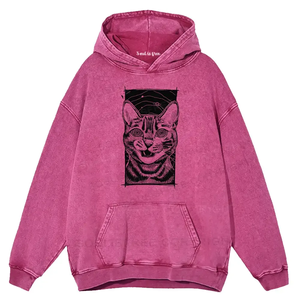 Hypnotic Cat Washed Hoodie