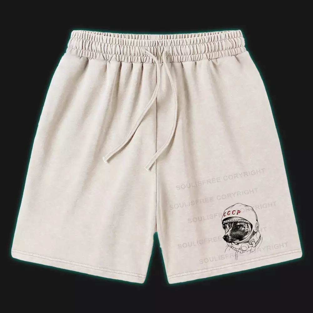 Astro Dog Washed Shorts