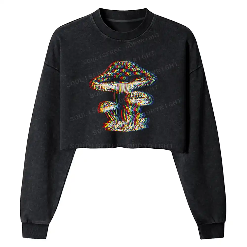 The Mind Bloom Washed Cropped Sweatshirt