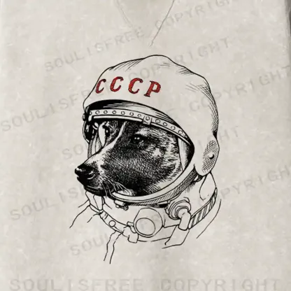 Astro Dog Fit Washed Sweatshirt