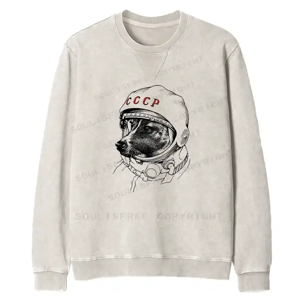 Astro Dog Fit Washed Sweatshirt