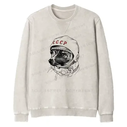 Astro Dog Fit Washed Sweatshirt
