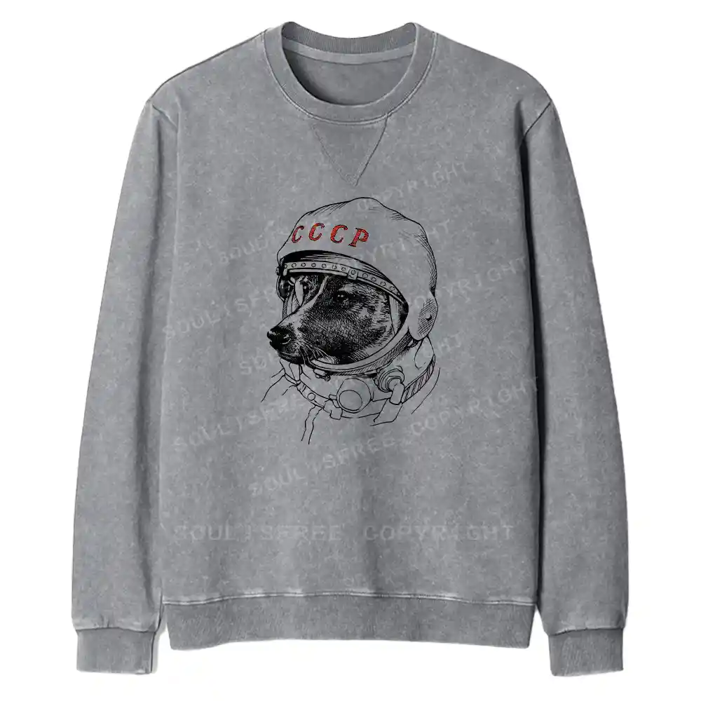 Astro Dog Fit Washed Sweatshirt