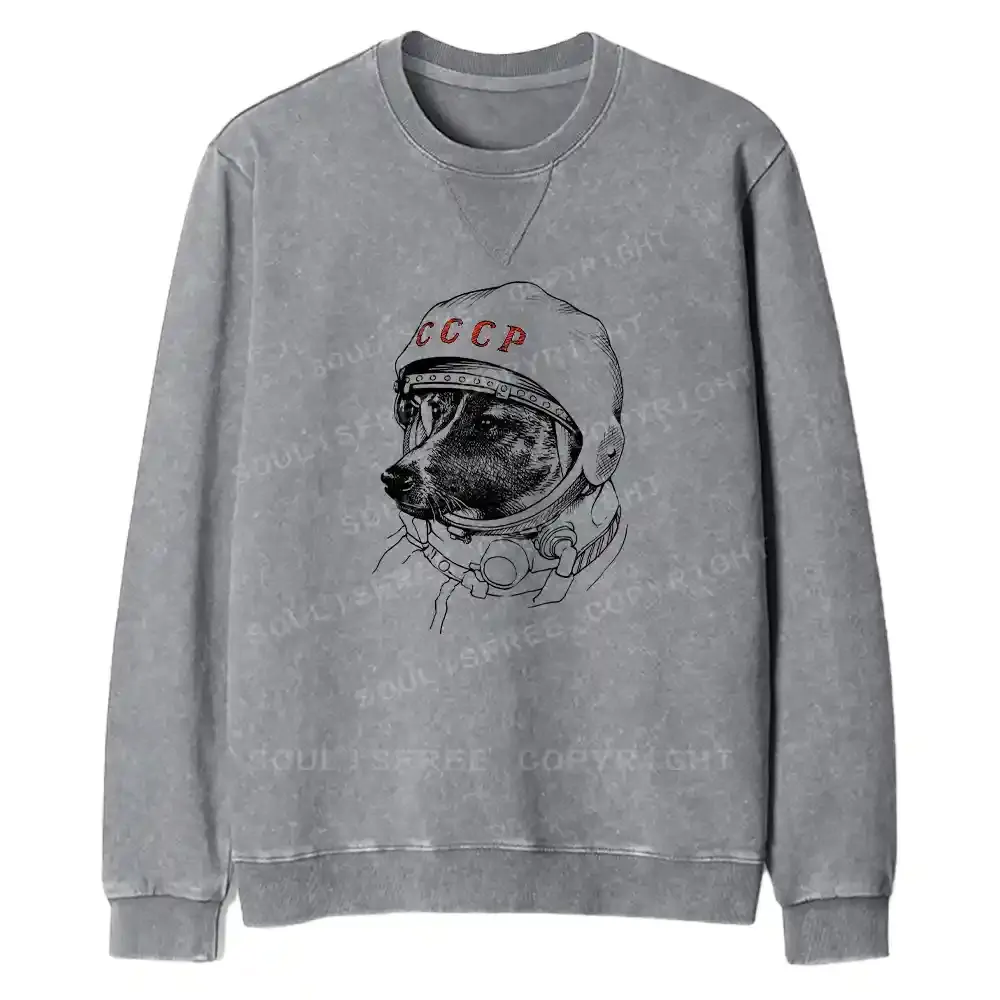 Astro Dog Fit Washed Sweatshirt