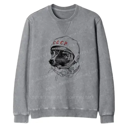 Astro Dog Fit Washed Sweatshirt