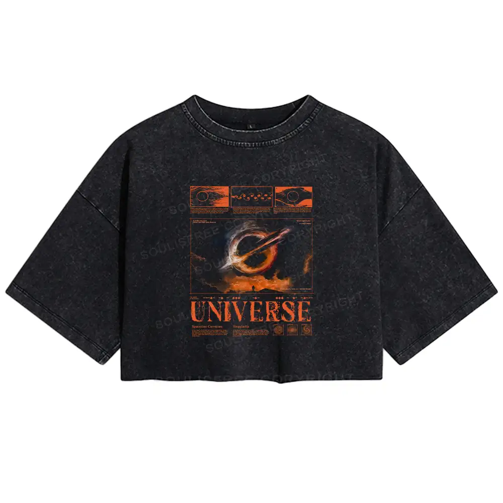 The Cycle Ends Washed Crop T-shirt