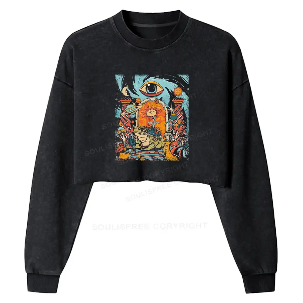 Designed Equilibrium Washed Cropped Sweatshirt
