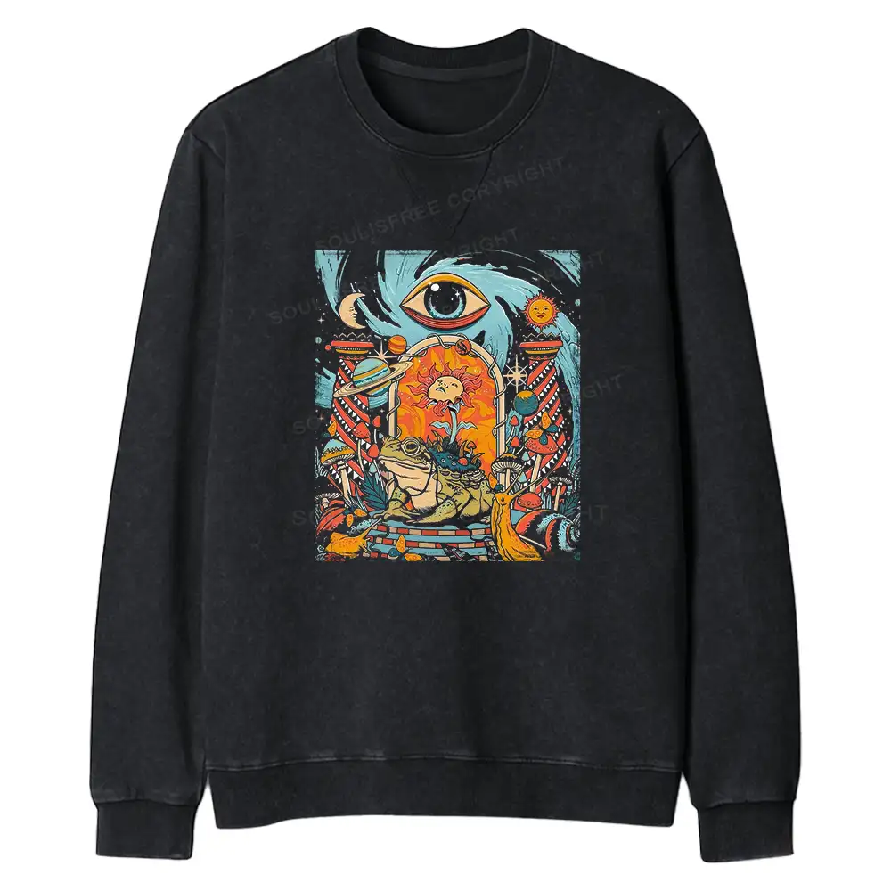 Equilibrium Regular Fit Washed Sweatshirt