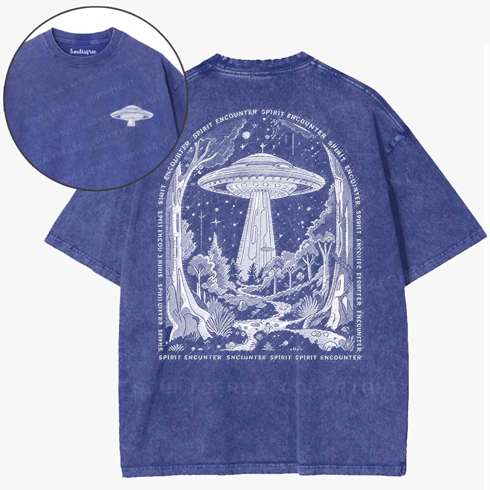 Soulisfree  Cosmic Wilderness Visit Washed Tee
