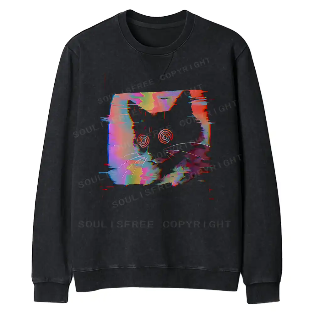Glitch Cat Fit Washed Sweatshirt