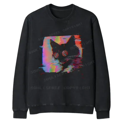 Glitch Cat Fit Washed Sweatshirt