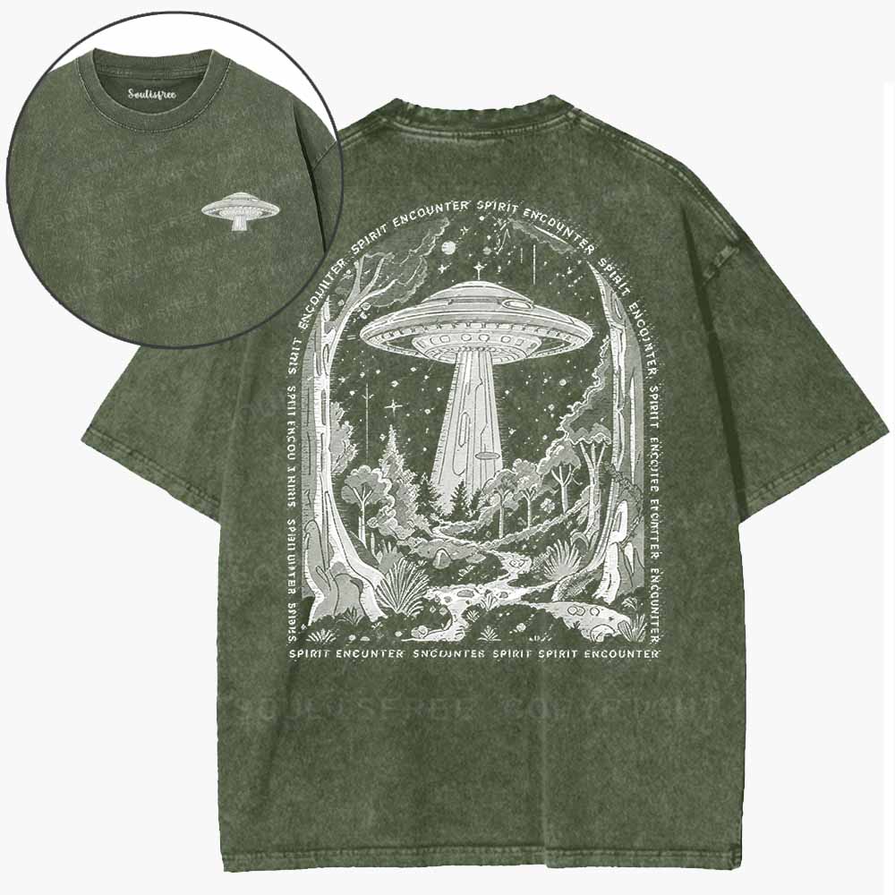 Soulisfree  Cosmic Wilderness Visit Washed Tee