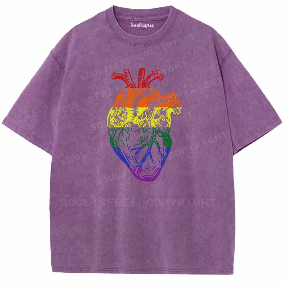Soulisfree  Rainbow Anatomical Heart  Washed Tee