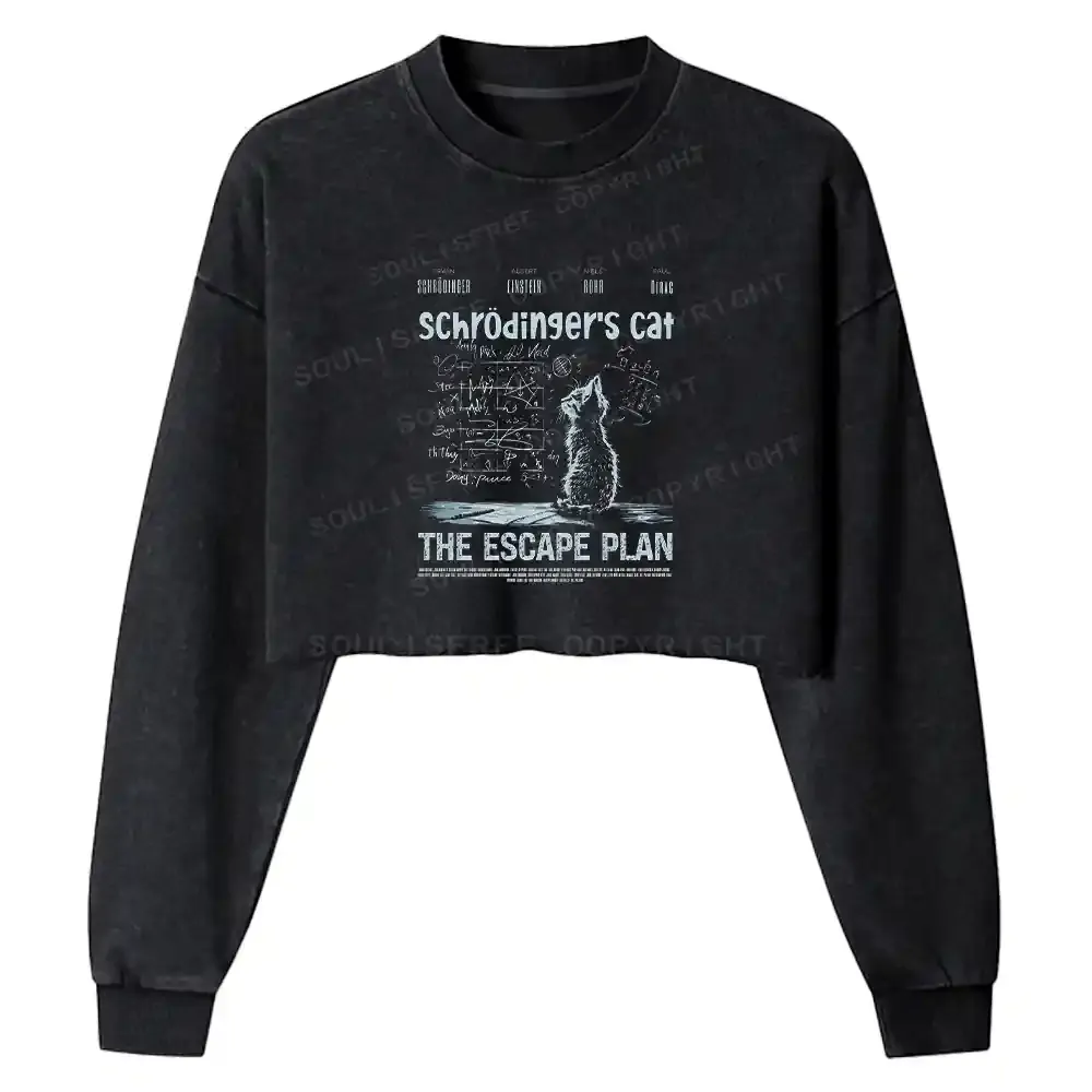 Careful Planning Washed Cropped Sweatshirt
