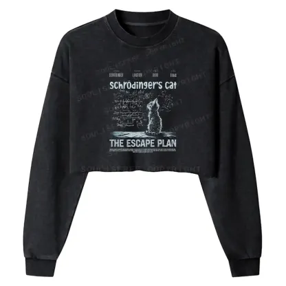 Careful Planning Washed Cropped Sweatshirt
