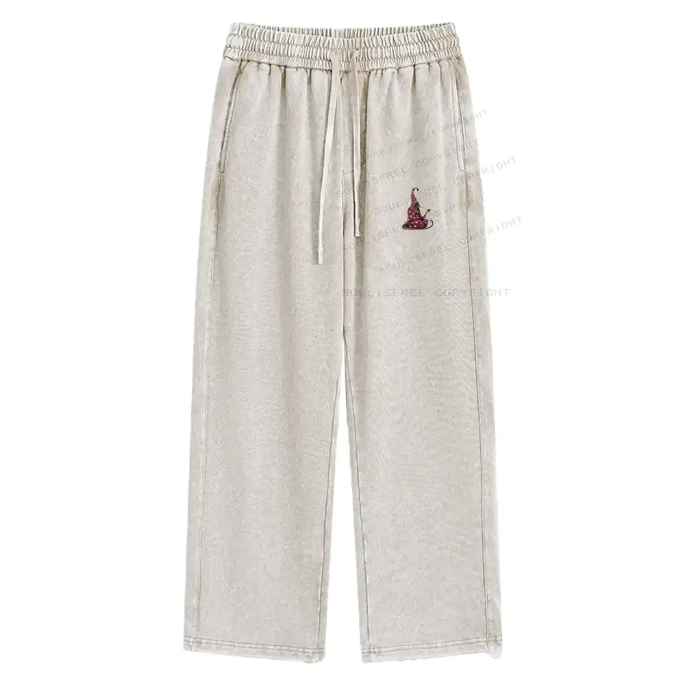 Lizard Wizard Washed Baggy Sweatpants