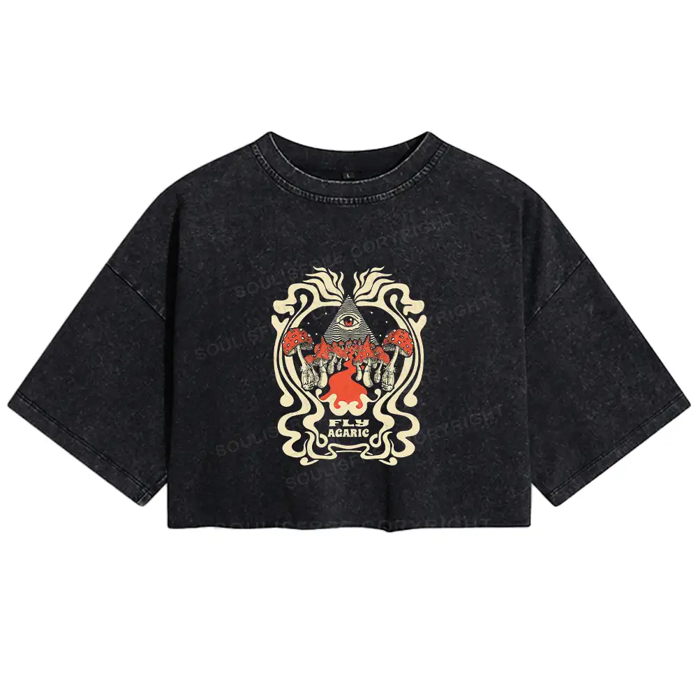 Magic Pyramid Washed Crop T-shirt