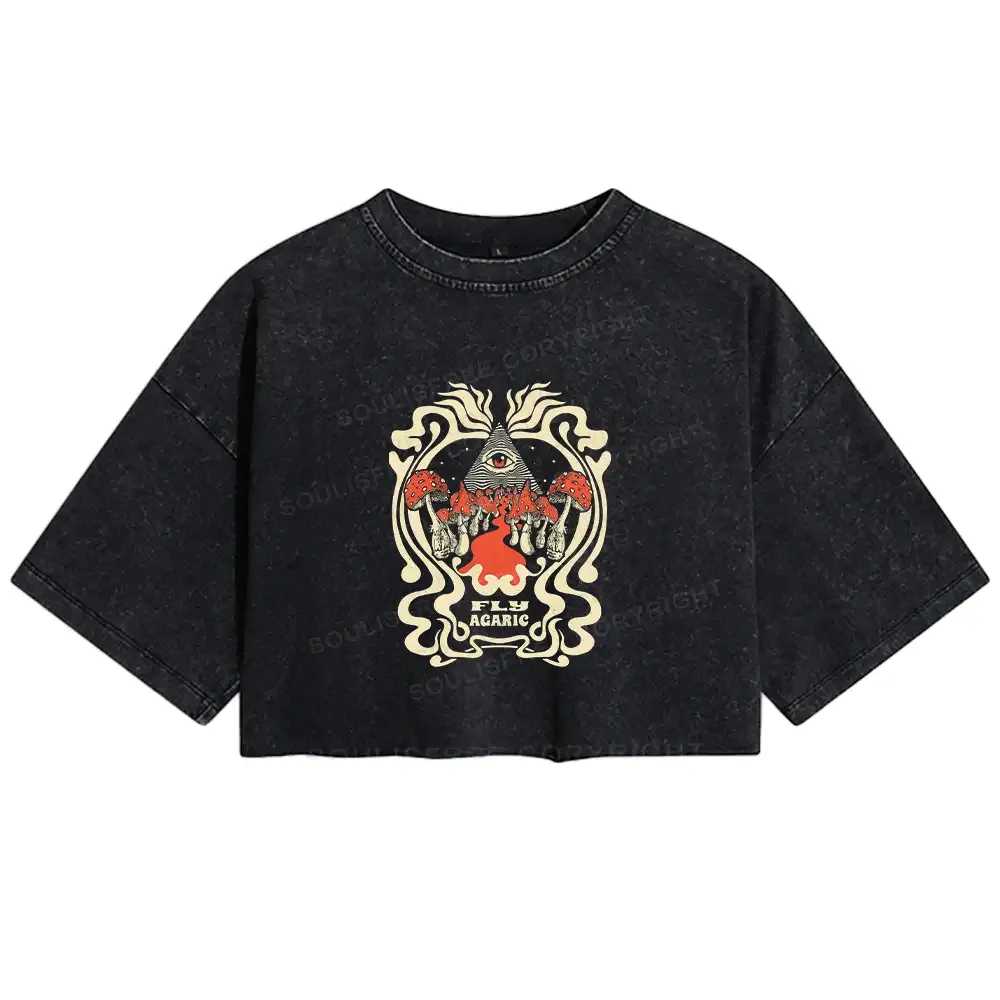 Designed Magic Pyramid Washed Crop T-shirt