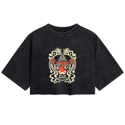 Magic Pyramid Washed Crop T-shirt