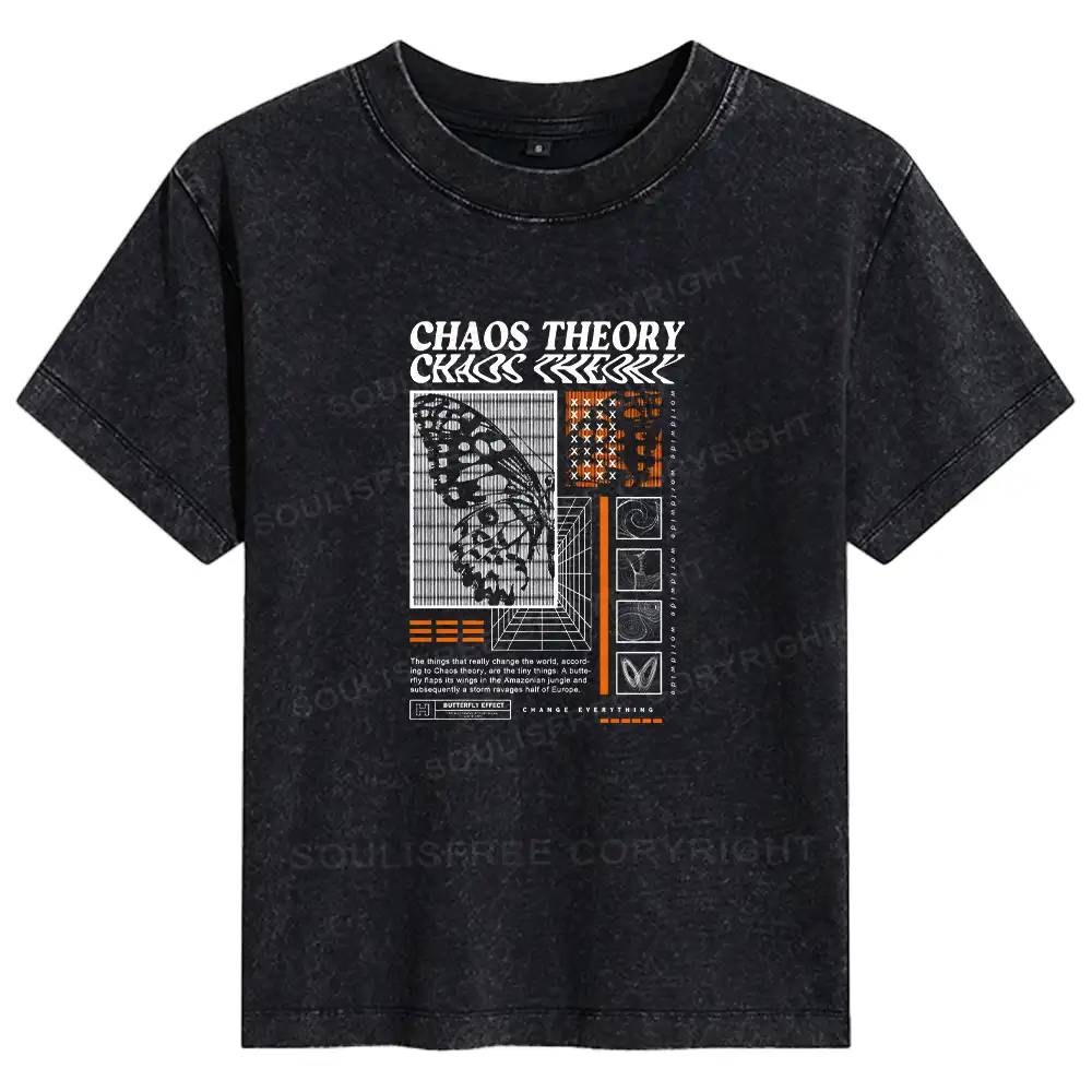 Chaos Theory Brain Basic Washed T-shirt