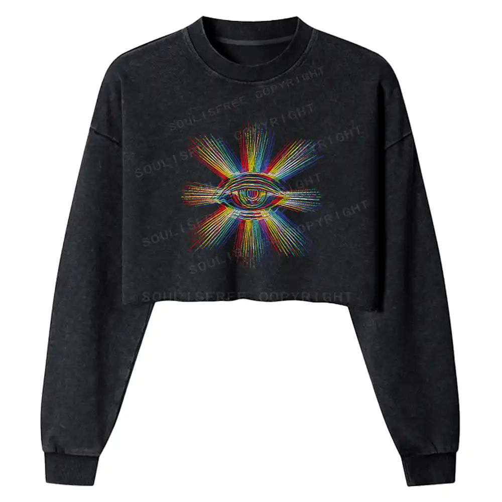 Prism of Perception Washed Cropped Sweatshirt