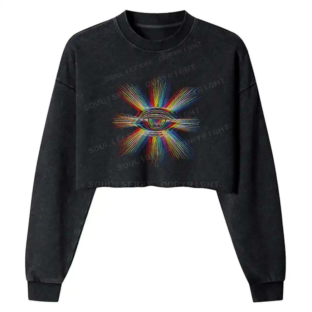 Prism of Perception Washed Cropped Sweatshirt