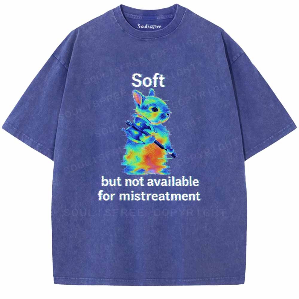 Soulisfree  Soft But Not Available For Mistreatment Washed Tee