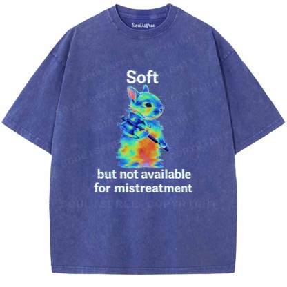 Soulisfree  Soft But Not Available For Mistreatment Washed Tee