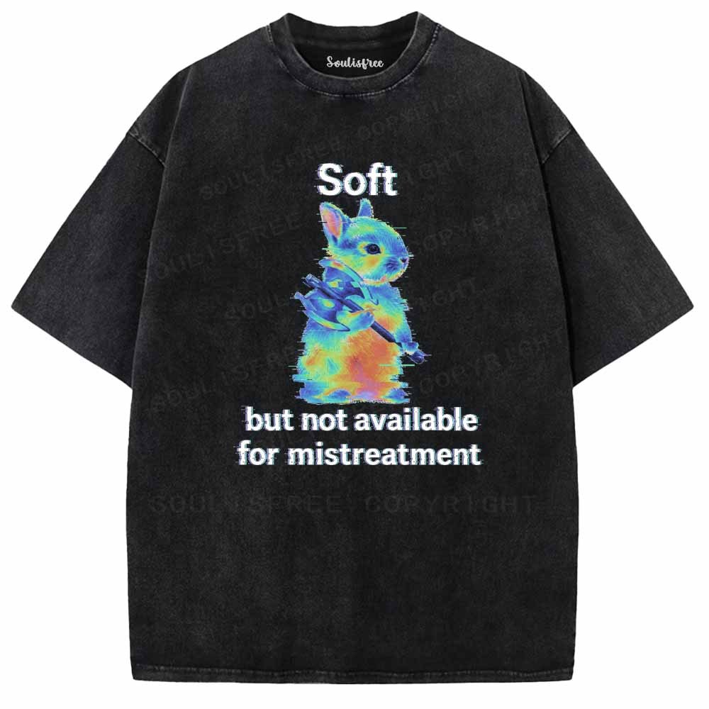 Soulisfree  Soft But Not Available For Mistreatment Washed Tee