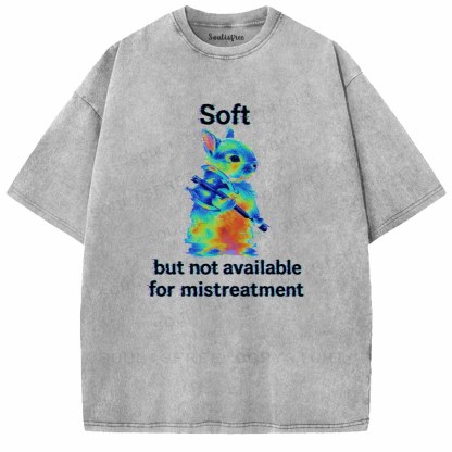 Soulisfree  Soft But Not Available For Mistreatment Washed Tee