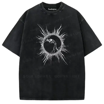 Solar Disc Spirit Washed T-shirt