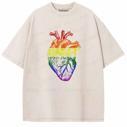 Soulisfree  Rainbow Anatomical Heart  Washed Tee
