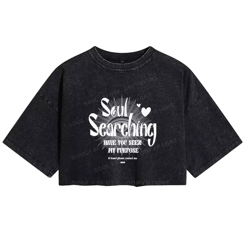 SOUL SEARCHING Washed Crop T-shirt